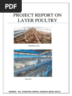 Detailed Project Report of 1000 Poultry Layer Birds | PDF | Poultry ...