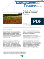 Produção e Rentabilidade de Pínus em Empresas Florestais: 1. Pinus No Brasil