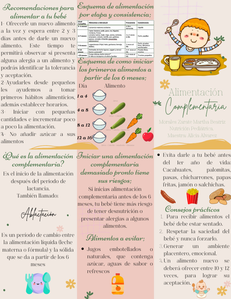 Esquema de Alimentación Complementaria | PDF | Alimentos | Comida y bebida