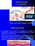 Histologia y Tejidos