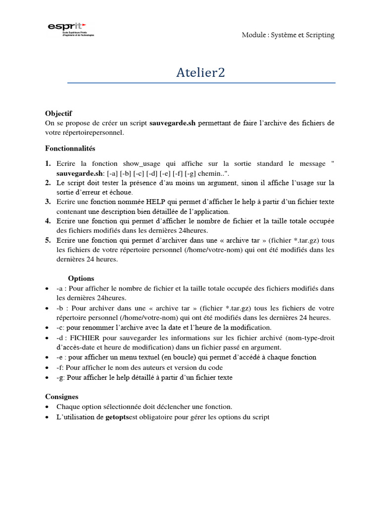 Script de sauvegarde avec options avancées | PDF