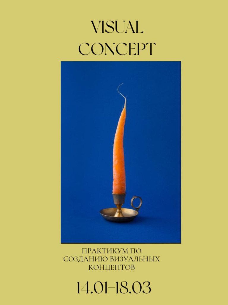 Practicum Visual Concept 2.0 | PDF