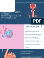 Mechanism of Inflammatory Associated Impairment of Sperm Function, Spermatogenesis and Steroidogenesis