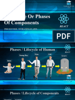 20 - Phases of Component