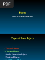 Download Nursing Mgt of Clients With Burns by api-3822508 SN7114929 doc pdf