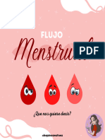 Flujo Menstrual