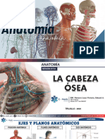 Módulo 1 Anatomía