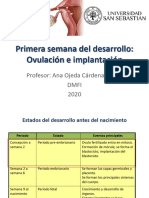 Primera y Segunda Semana Del Desarrollo 2020