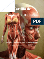 Modelo de Cartilla Anatomía Humana UNIMINUTO ULTIMA