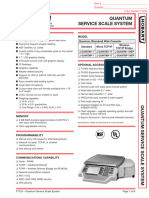 Quantum Service Scale System: Standard Features Model