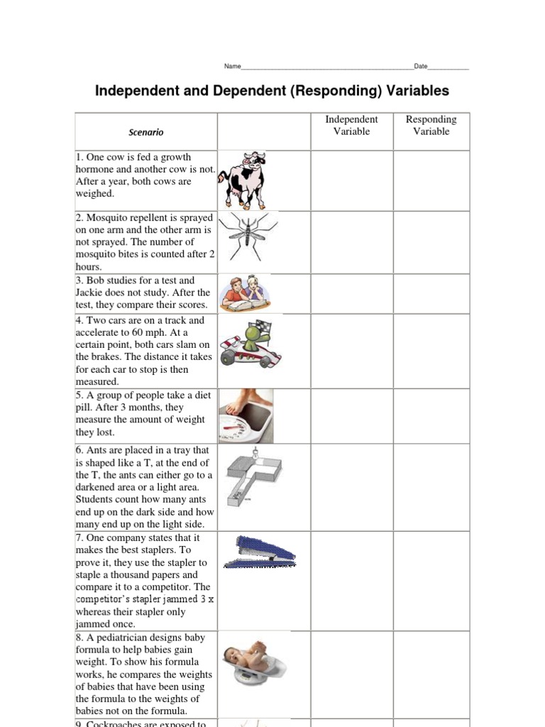 Scientific Method | Experiment | Hypothesis