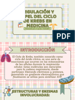 Regulación y Papel Del Ciclo de Krebs en Medicina