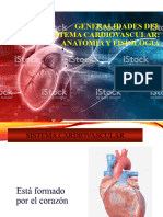 CLASES 1 Sistema Cardiovascular Anatomia y Fisiologia
