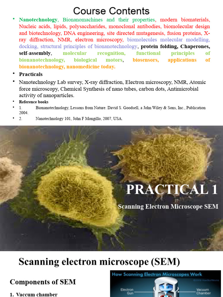 Practical 1 | PDF | Scanning Electron Microscope | Physical Sciences