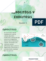 Endocitosis y Exocitosis