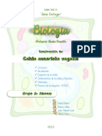 TP Biologia - Maqueta David