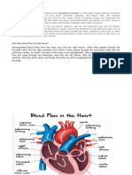 Heart-Circulatory 9999