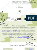 El Trigémino Ailza