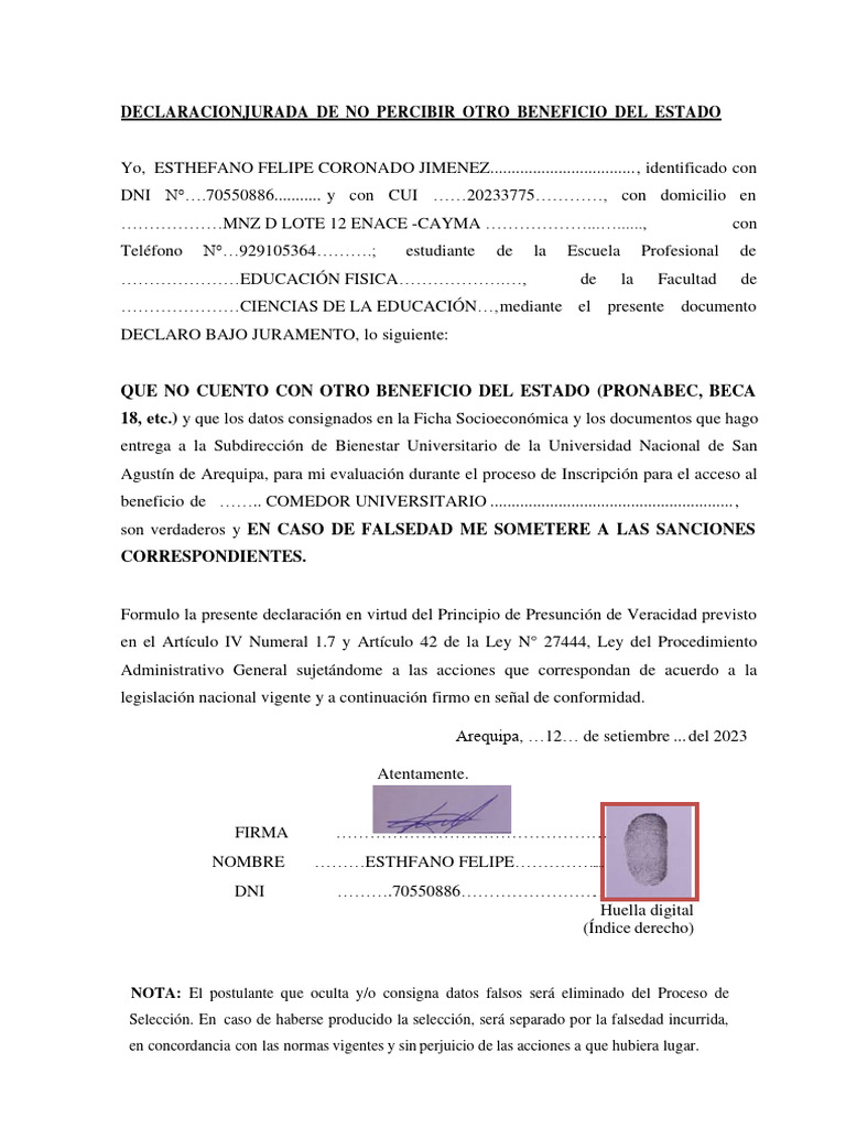 DJ de No Percibir Otro Beneficio Del Estado | PDF | Ciencias sociales ...