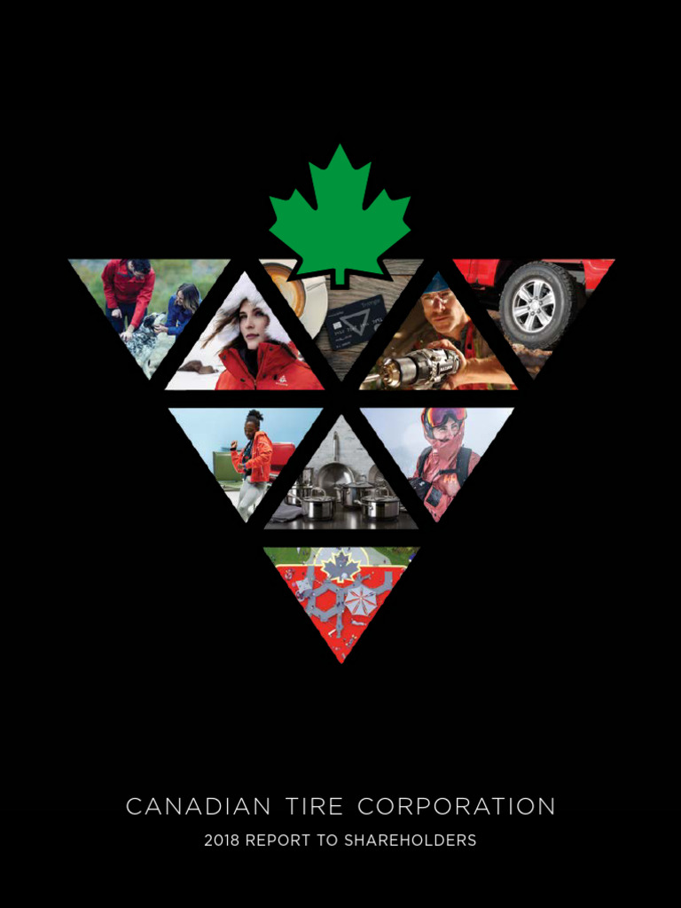 Annual Report - 2018 | PDF
