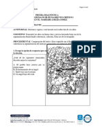 Prueba Diagnóstica Dhu25 2024-1