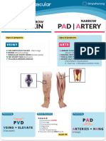 PVD Peripheral Vascular