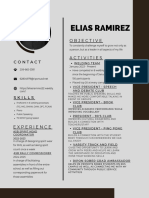 Dark Brown Resume 2