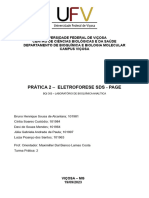 Prática 2 - Eletroforese Sds - Page