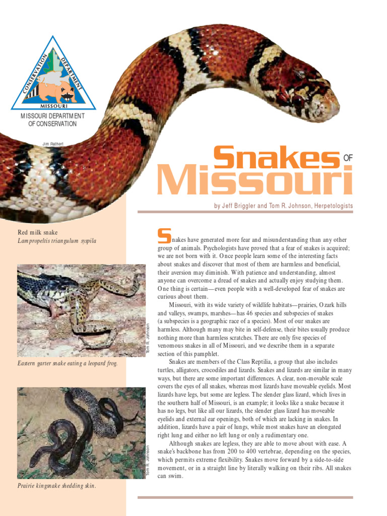 Snakes of Missouri: Identification Guide | PDF | Snake | Squamata