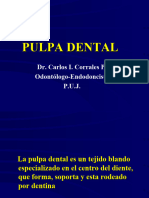 Pulpa Dental