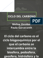 Ciclo Del Carbono - 20240215 - 062333 - 0000