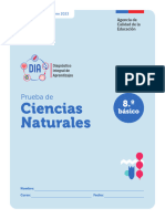 Prueba Ciencias Cierre 2023 8 Basico