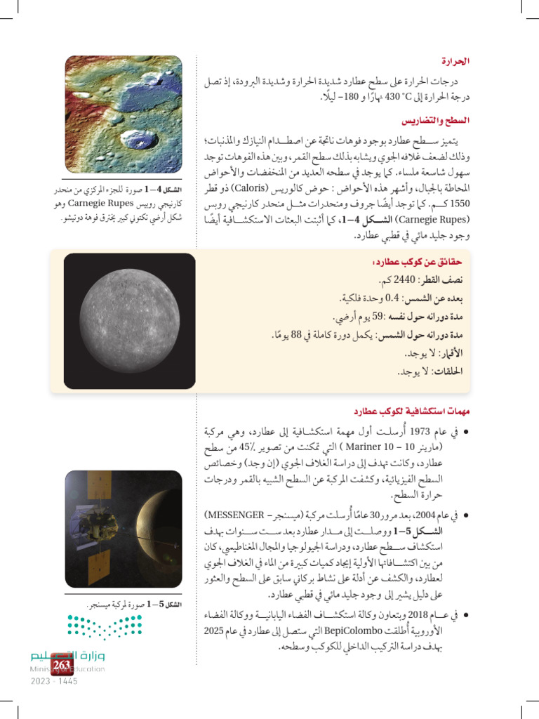Carnegie Rupes | PDF