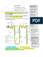 Agentes Diureticos