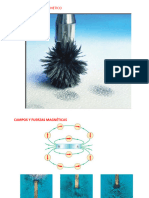 Campo Magnetico