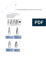 Tutorial Prostodontik GTJ