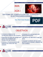 26a Clase AyFI Sistema de Conducción y ECG