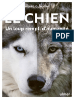 Chien Loup Rempli Humanite Extrait