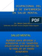 Perfil Ocupacional en Salud Mental