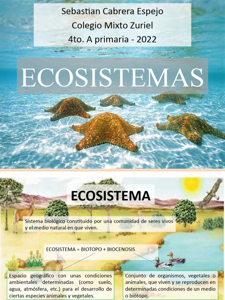 Tipos de Ecosistemas y sus Características | PDF | Ecosistema | Selva