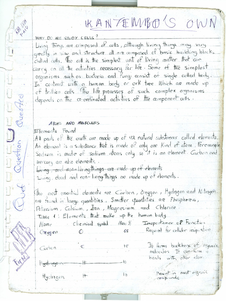 Shehata Notes | PDF