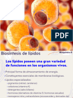 Biosintesís de Lípidos - Clases de Bioquimica.