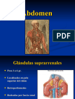 Anatomiadelabdomen 5 Suprarrenales y Vasos Sanguineos