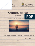 Cultura de Paz - Evidenca1