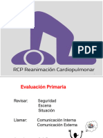 Manual RCP 2022