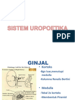 +histologi Sistema Uropoetika