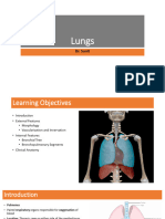 T 02 Lungs