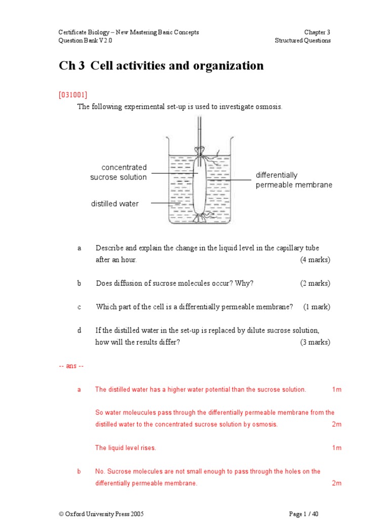 LQ 03 Cell Activity and Organization PDF Enzyme Osmosis