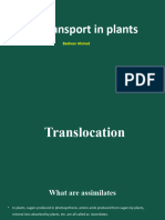 Transport in Plants (Translocatoin)
