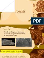 2923 - 3.2 Fossils. E.